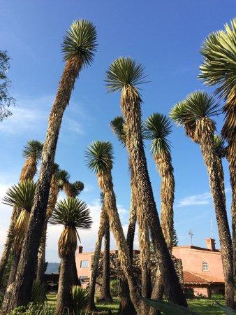 Mision Casa Colorada Restaurante